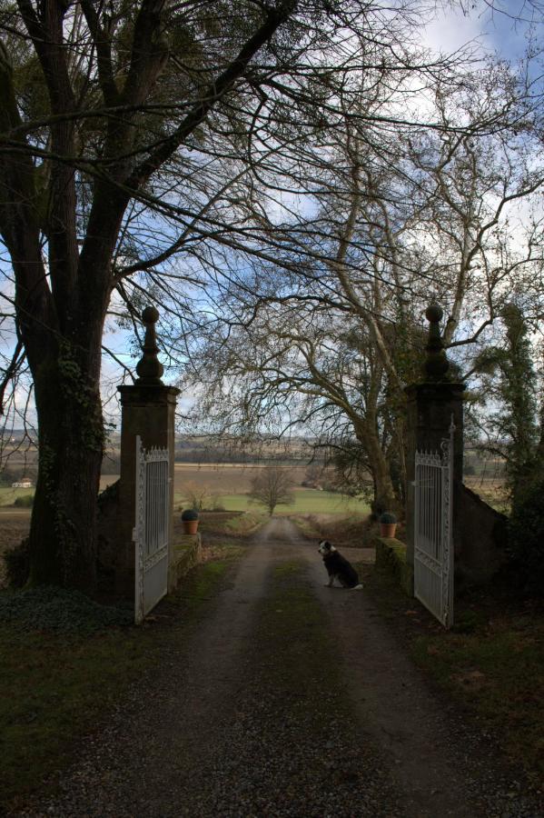 Au Château Juillac Juillac  Extérieur photo