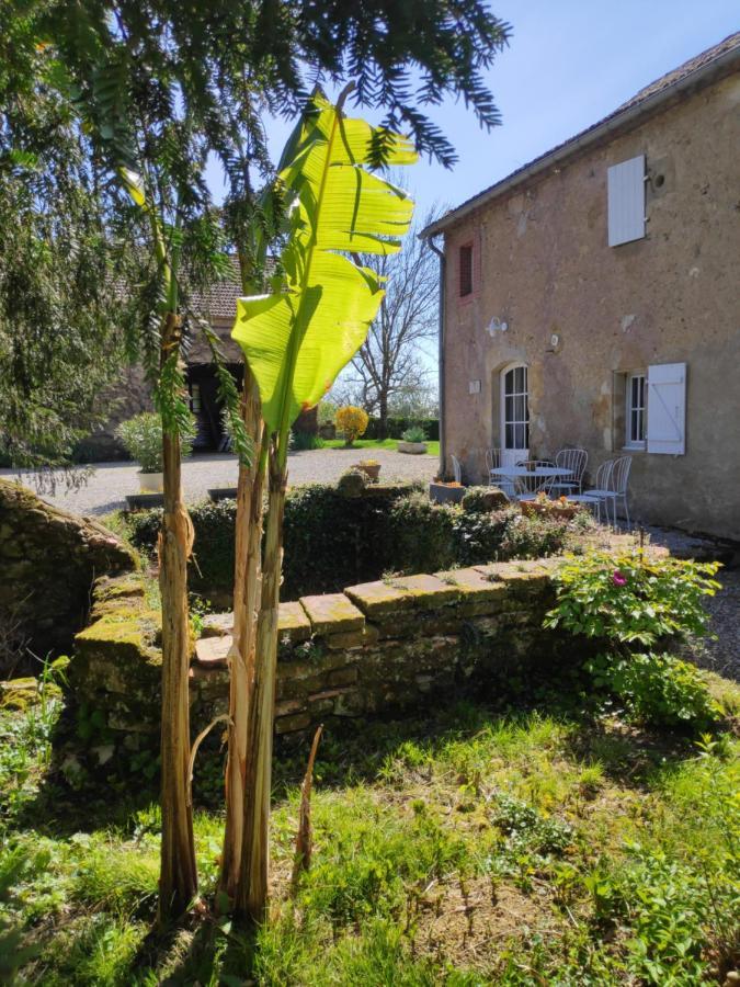 Bed and Breakfast Au Château Juillac à Juillac  Extérieur photo